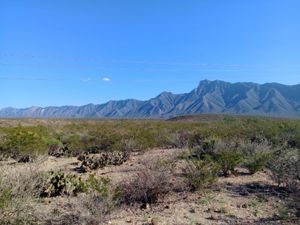 VENTA  Y/O RENTA DE TERRENO EN ICAMOLE  , GARCIA. CON OPCIÓN A RENTA