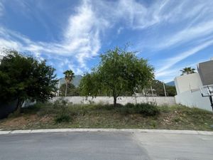 TERRENO EN VENTA EN CEREZOS RESIDENCIAL