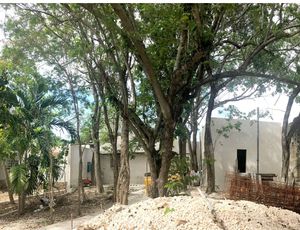 TERRENO EN VENTA PLAYA DEL CARMEN