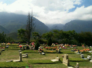 4 Gavetas bajo pasto en Parque Funeral Guadalupe