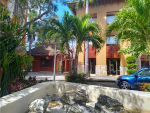 Local  103 | Paseo Playacar Golf Drive