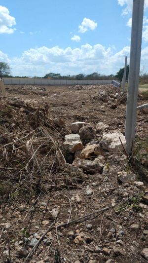 Terreno en venta ubicado en Dzitya