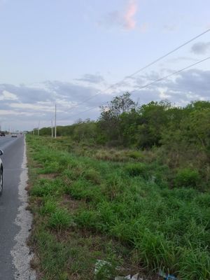 Terreno en venta ubicado en Carretera Mérida-Progreso