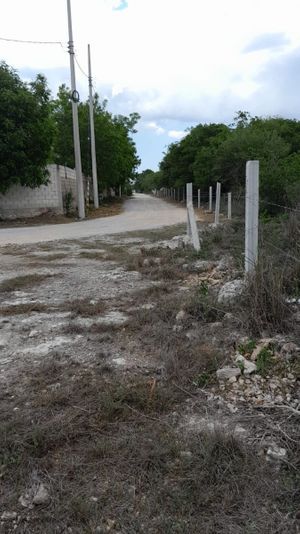 Terreno en venta ubicado en Dzitya