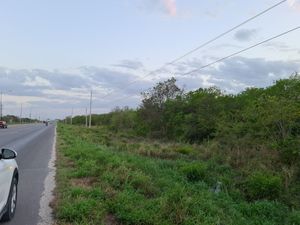 Terreno en venta ubicado en Carretera Mérida-Progreso