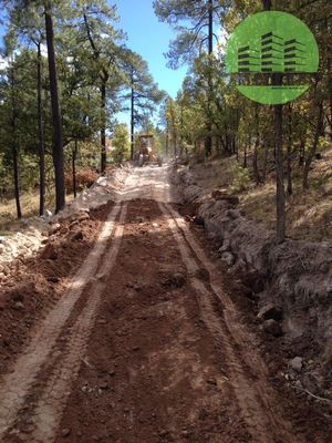 TERRENOS EN VENTA EN FRACC. BOSQUES DE LLANO GRANDE