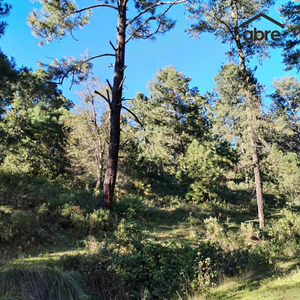 Invierte en la naturaleza: Terreno en Janacatlán con opciones de financiamiento