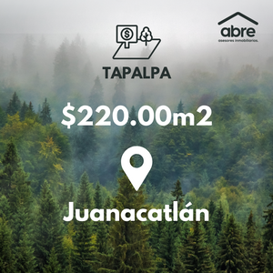 Oportunidad única: Terreno boscoso en Juanacatlán con financiamiento directo.