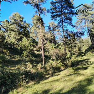 Invierte en la naturaleza: Terreno en Janacatlán con opciones de financiamiento