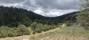 Terreno en venta Mineral del Monte, Hidalgo