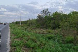 Terreno sobre Carretera Mérida-Progreso