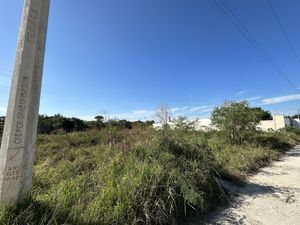 Terreno en Merida sobre avenida a metros de Fracc. Las Americas