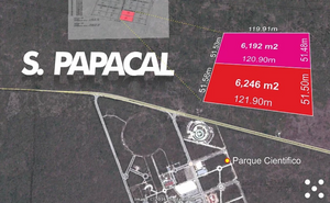 Lote en Sierra Papacal, ideal para desarrolladores.