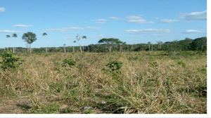 Terreno en venta en José María Morelos, Quintana Roo.