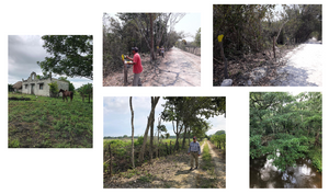 Rancho en Escárcega, Campeche, en venta.