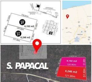 Lote en Sierra Papacal, ideal para desarrolladores.