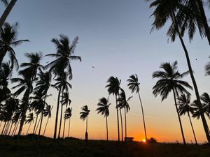 TERRENO EN VENTA EN EL NOVILLERO, NAYARIT