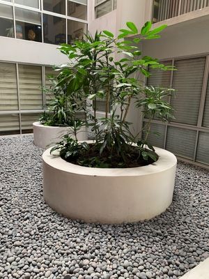 Jardineras