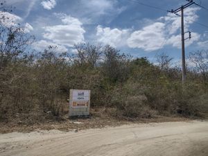 Construye tu proyecto en este Increible terreno en Yucatan,