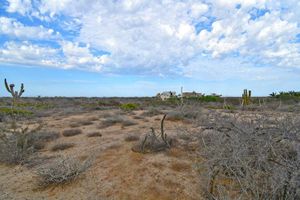 Lote Buena Vida, Todos Santos, BCS