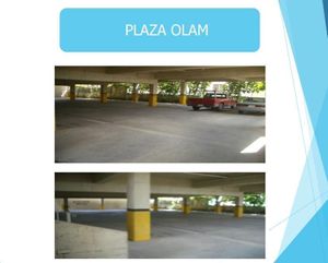 Local Renta Cumbres Plaza Olam 4o Sector