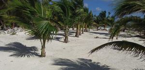 VENTA DE HERMOSO TERRENO FRENTE AL MAR, MAHAHUAL