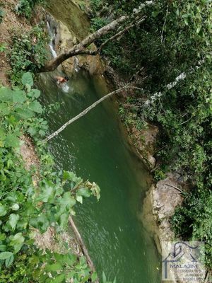 83 Hectáreas en Venta, Abundante Agua, Río, Cuevas en Berriozabal, Chiapas