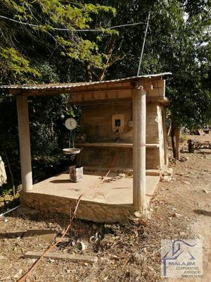 83 Hectáreas en Venta, Abundante Agua, Río, Cuevas en Berriozabal, Chiapas