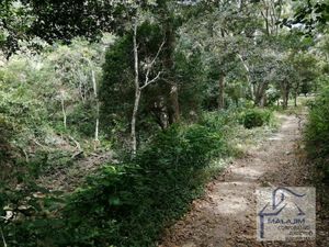 83 Hectáreas en Venta, Abundante Agua, Río, Cuevas en Berriozabal, Chiapas