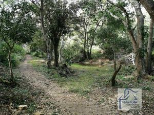 83 Hectáreas en Venta, Abundante Agua, Río, Cuevas en Berriozabal, Chiapas