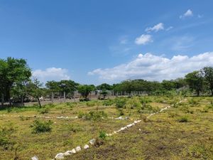 Lotes de Terreno ideal para Inversión, en Berriozábal, Chiapas