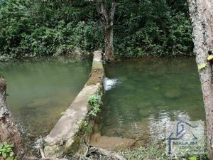83 Hectáreas en Venta, Abundante Agua, Río, Cuevas en Berriozabal, Chiapas