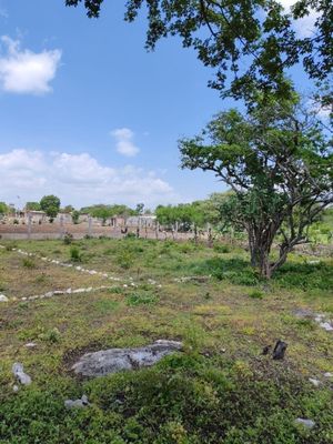 Lotes de Terreno ideal para Inversión, en Berriozábal, Chiapas