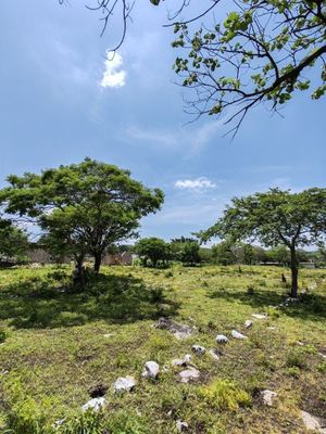 Lotes de Terreno ideal para Inversión, en Berriozábal, Chiapas