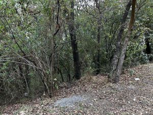 Terreno Venta Bosques de Santa Fe