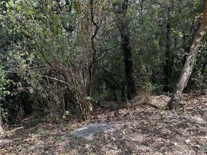 Terreno Venta Bosques de Santa Fe