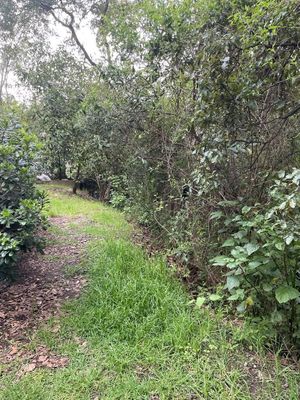 Terreno Venta Bosques de Santa Fe