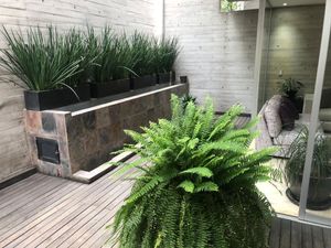 Departamento  Venta Polanco