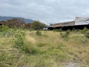 Terreno en Renta en Av. Juárez, Gpe