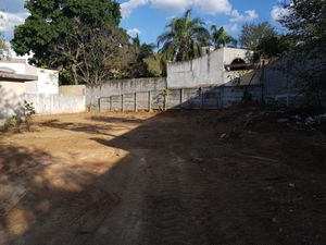 TERRENO EN VENTA CARRETERA NACIONAL MONTERREY NUEVO LEON