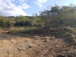 TERRENO EN VENTA CARRETERA NACIONAL MONTERREY NUEVO LEON