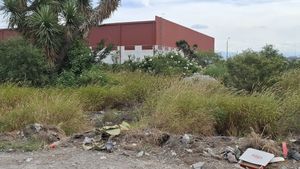 Terreno industrial en Cienega de Flores en Venta