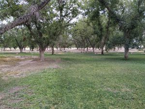 TERRENOS EN VENTA EN PARRAS DE LA FUENTE COAHUILA