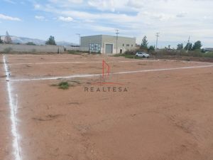 Terreno Venta Ejido Robinson 245,000 Arngut RAO