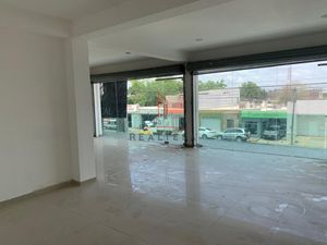 Local Renta Las Vegas Culiacán 12,000 Anainz RG1