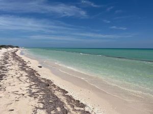 Se vende terreno frente al mar de Chuburná Puerto, Yucatán