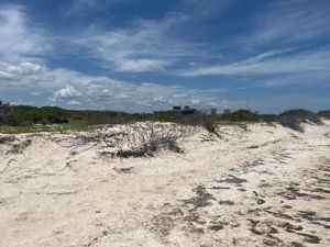 Se vende terreno frente al mar de Chuburná Puerto, Yucatán