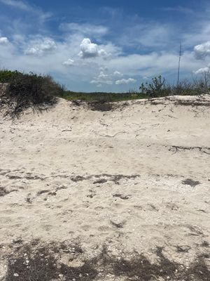 Se vende terreno frente al mar de Chuburná Puerto, Yucatán