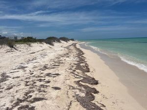 Se vende terreno frente al mar de Chuburná Puerto, Yucatán