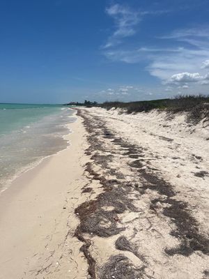 Se vende terreno frente al mar de Chuburná Puerto, Yucatán